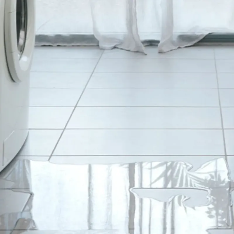 Appliance Leak Cleanup in Dover, FL