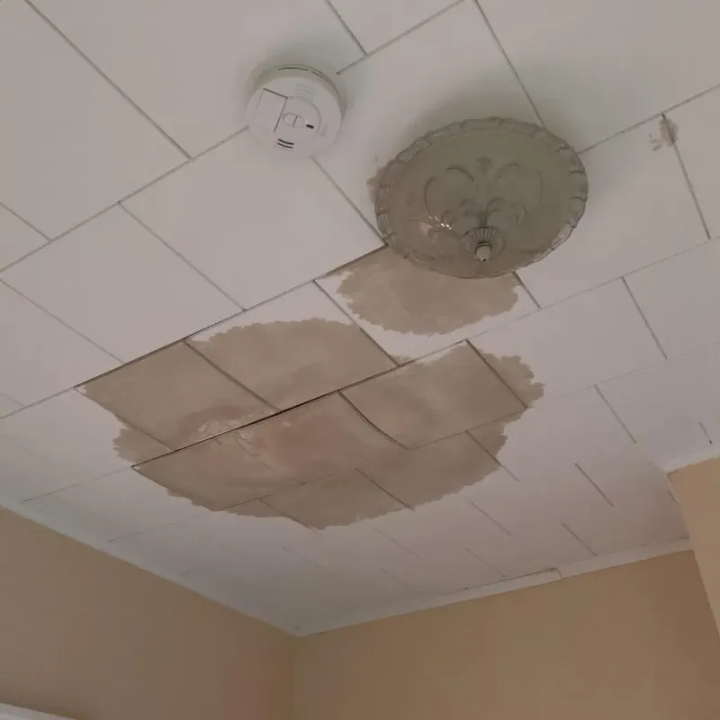 Ceiling Water Damage Repair in Dover, FL